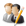 Fallstudien/Case Studies