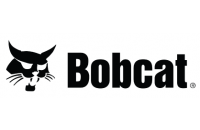 Bobcat